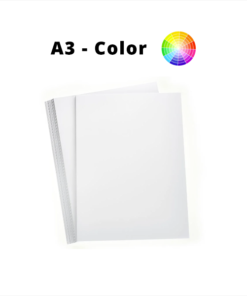 Impression format A3 Couleur