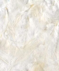 ARTEMIO 10G PLUME COLOR WHITE
