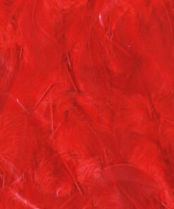 ARTEMIO 10G PLUME COLOR ROUGE