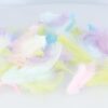 10G PLUMES COLOREES RAINBOW ARTEMIO