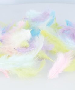 10G PLUMES COLOREES RAINBOW ARTEMIO