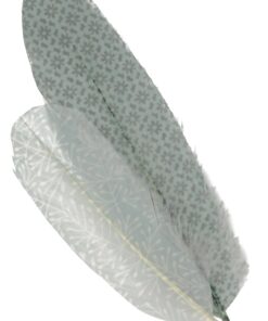 6 PLUMES MISTY WINTER ARTEMIO