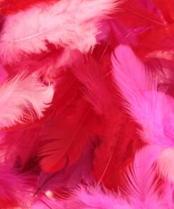 ARTEMIO 10GR PLUMES COLOREES R ROSE