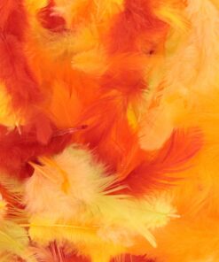ARTEMIO 10GR PLUMES COLOREES YELLOW & ORANGE