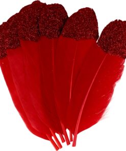 ARTEMIO PLUMES 6 PIECES