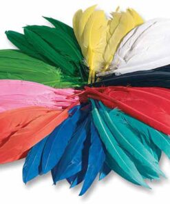 FOLIA 100GR PLUMES INDIEN 10-18CM ASSORTIMENT