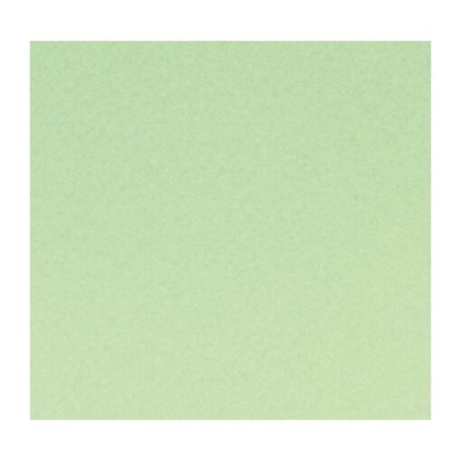 FEUIL.FEUTRE 2MM PASTEL VERT 30X30CM ARTEMIO