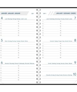 AGENDA VISUPLAN ALASKA 90X165 1SEMAINE/2PAGES SPIRALE ASSORTI