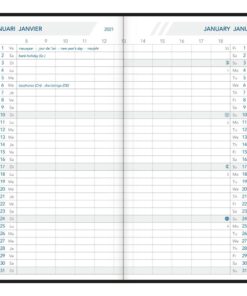AGENDA FOLDPLAN 9X16.5 SETA 1MOIS/2PAGES ACCORDEON