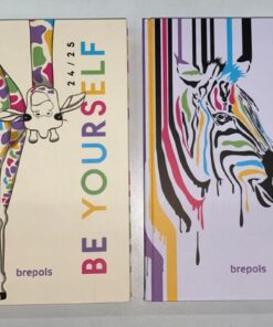 AGENDA SCOLAIRE POZOOITIVITY 2024/2025 - BREPOLS