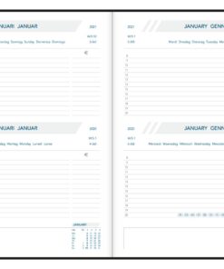AGENDA FOLIO BALACRON 140X210  2JOURS/PAGE ASS.