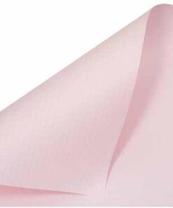 FEUILLES Q5/Q10 ROSE 72X57 10 FEUILLES DESSIN AURORA 125GR A2254