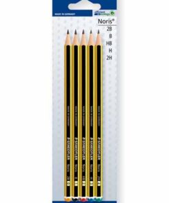 5 CRAYONS STAEDTLER GRAPHITE 2B-B-HB-H-2H BLISTER NORIS