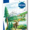 12 CRAYONS COULEUR DESIGN JOURNEY - QUALITE SUPERIEURE STAEDTLER BOITE METAL