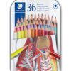36 CRAYONS COULEUR STAEDTLER ERGONOMIQUE - BOITE METAL