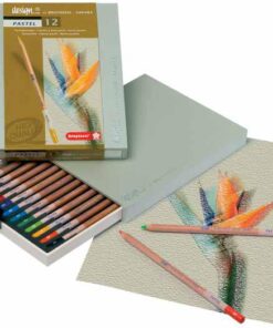 BRUYNZEEL 12 SAKURA PASTEL CRAYONS CRAIE DE COULEURS QUALITE SUPERIEURE ECRIN BOIS