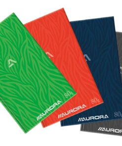 REGISTRE 21X33 CARTON 96F Q5