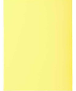 FARDE CHEMISE 210GR 24X32 CAN CANARI - 100 FARDES EXACOMPTA