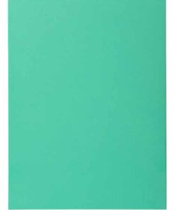 FARDE CHEMISE 210GR 24X32 VERT 100 FARDES EXACOMPTA