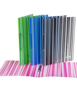 CLASSEUR A4 2A16 PP LINES BRONYL