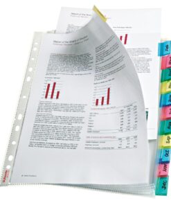 INTERCALAIRES ESSELTE 12 POSIT IONS PERSONNALISABLE PP 12 POSITIONS - POLYPRO