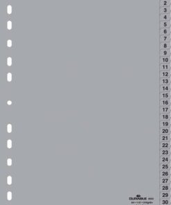INTERCALAIRE DURABLE PP 1-31 POLYPRO - NUMEROTE