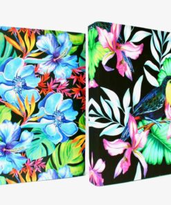 TROPICAL CLASSEUR LEVIER 8CM CLASSEUR A LEVIER DOS 8CM