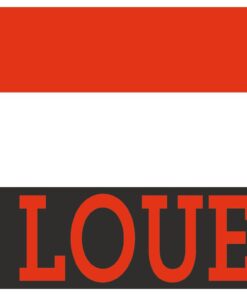 10 AFFICHES "A LOUER" 35x25CM