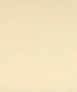 VIVALDI 240GR 50X65 CREME FEUILLES DE DESSIN CANSON