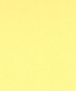 VIVALDI 240GR 50X65 JAUNE PAIL FEUILLES DE DESSIN CANSON