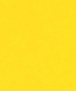 VIVALDI 240GR 50X65 JAUNE D'OR FEUILLES DE DESSIN CANSON
