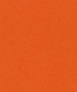 VIVALDI 240GR 50X65 ORANGE FEUILLES DE DESSIN CANSON