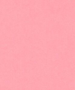 VIVALDI 240GR 50X65 ROSE PETAL FEUILLES DE DESSIN CANSON