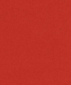 VIVALDI 240GR 50X65 TOMATE FEUILLES DE DESSIN CANSON