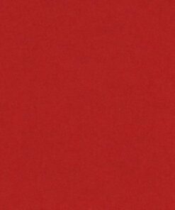 VIVALDI 240GR 50X65 ROUGE FEUILLES DE DESSIN CANSON