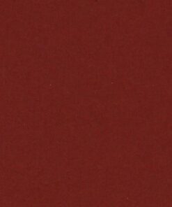 VIVALDI 240GR 50X65 GRENAT FEUILLES DE DESSIN CANSON