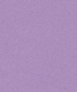 VIVALDI 240GR 50X65 LILAS FEUILLES DE DESSIN CANSON