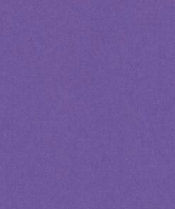 VIVALDI 240GR 50X65 VIOLET FEUILLES DE DESSIN CANSON