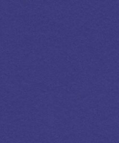 VIVALDI 240GR 50X65 BLEU ROI FEUILLES DESSIN CANSON