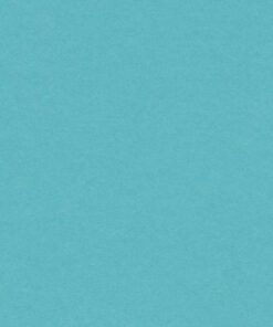 VIVALDI 240GR 50X65 TURQUOISE FEUILLES DE DESSIN CANSON