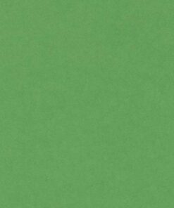VIVALDI 240GR 50X65 VERT FRANC FEUILLES DE DESSIN CANSON