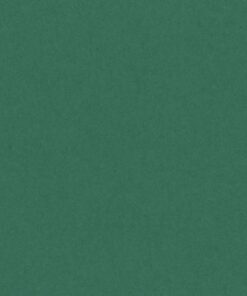 VIVALDI 240GR 50X65VERT MOUSSE FEUILLES DE DESSIN CANSON