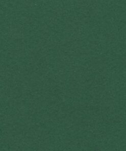 VIVALDI 240GR 50X65 VERT SAPIN FEUILLES DE DESSIN CANSON