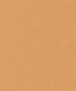 VIVALDI 240GR 50X65 CUIR FEUILLES DE DESSIN CANSON
