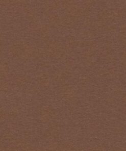 VIVALDI 240GR 50X65 NOISETTE FEUILLES DE DESSIN CANSON