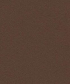 VIVALDI 240GR 50X65 CHOCOLAT FEUILLES DE DESSIN CANSON