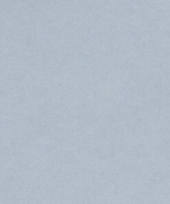 VIVALDI 240GR 50X65 GRIS CLAIR FEUILLES DE DESSIN CANSON
