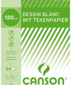 BLOC CANSON RAYE 24F 27X36 120GR - BLOC DESSIN CANSON